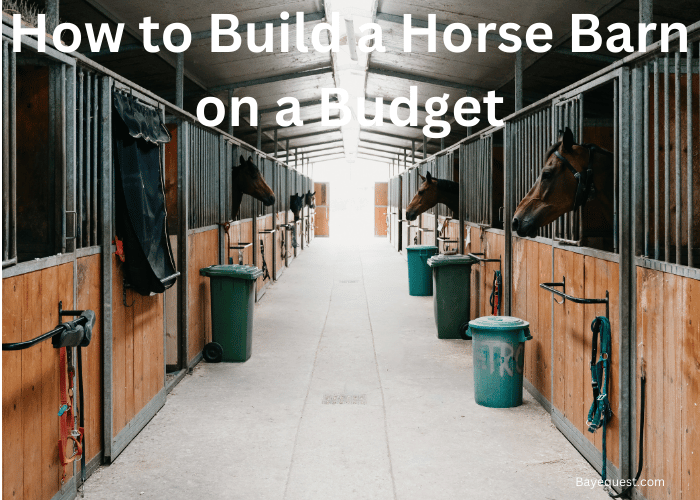 How to Build a Horse Barn on Budget