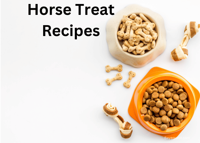 Best Horse Treat Recipe
