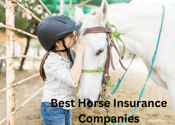 Best Horse Insurance Companies