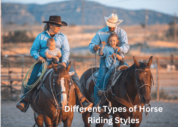 Different Types of Horse Riding Styles