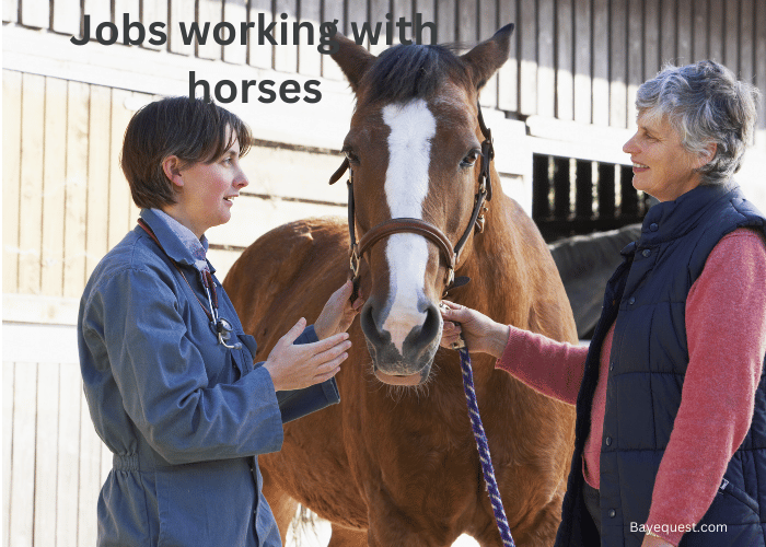 jobs working with horses