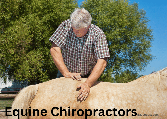 Equine Chiropractors