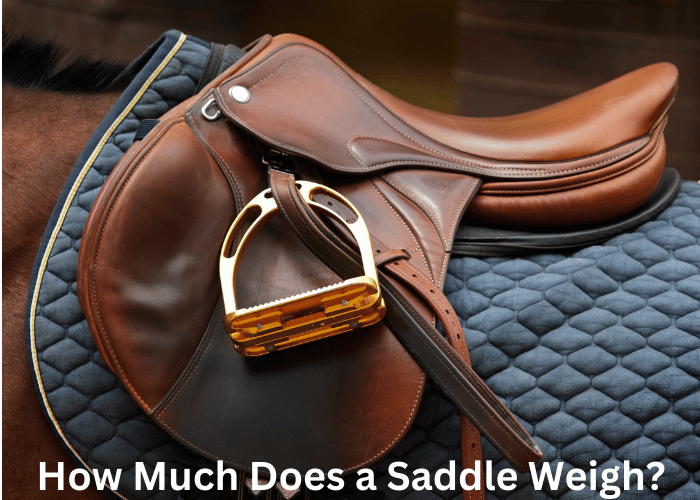 How Much Does a Saddle Weigh