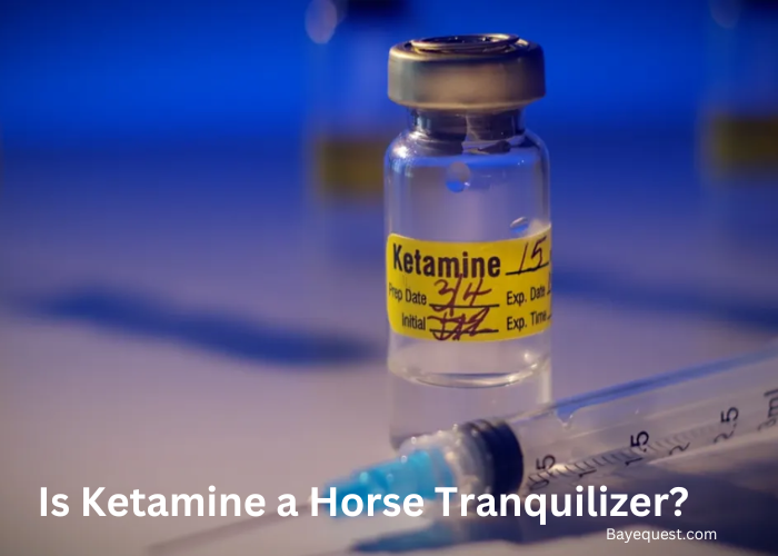 Is Ketamine a Horse Tranquilizer