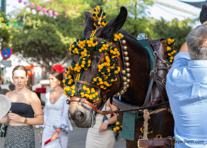 Spanish Horse Names