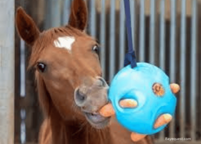 Carrot ball horse toy