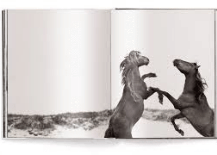 Horse Photography Book