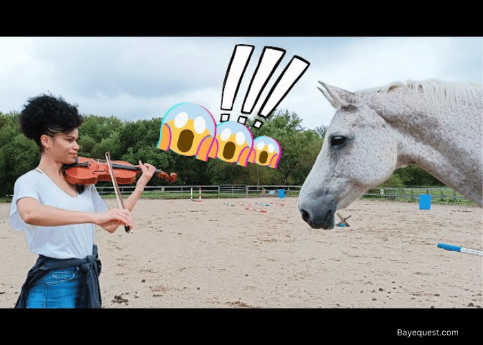 Music and its effects on horses