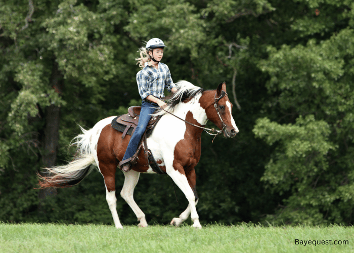 Unique Female Horse Names