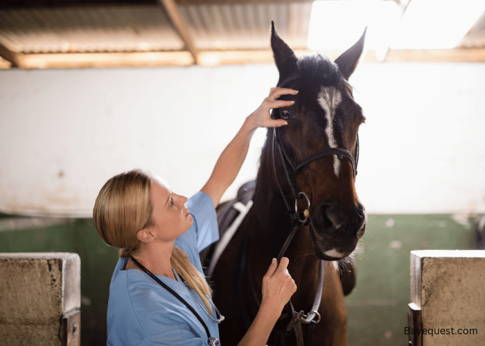 Unique Female Horse Names