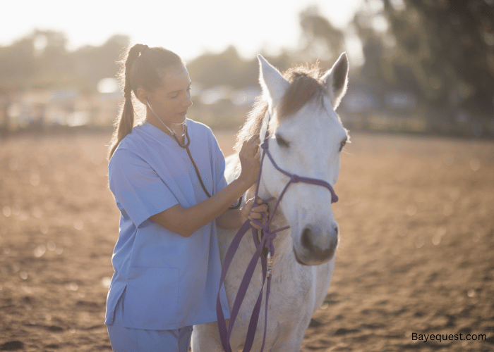 Unique Female Horse Names