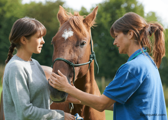 Unique Female Horse Names