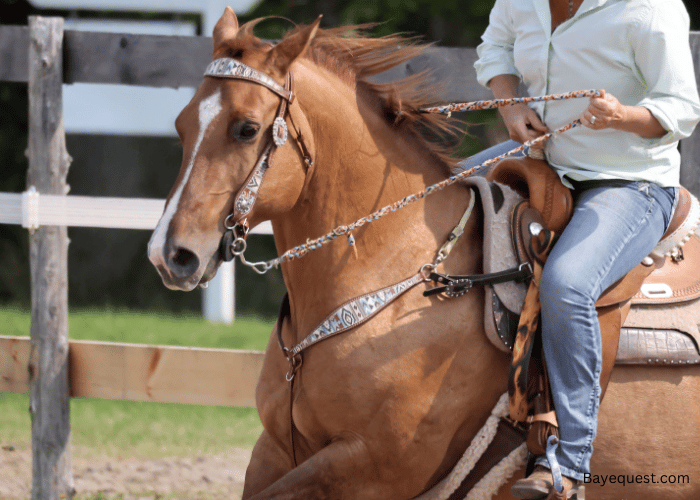 Unique Female Horse Names