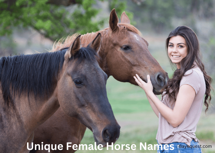 Unique Female Horse Names