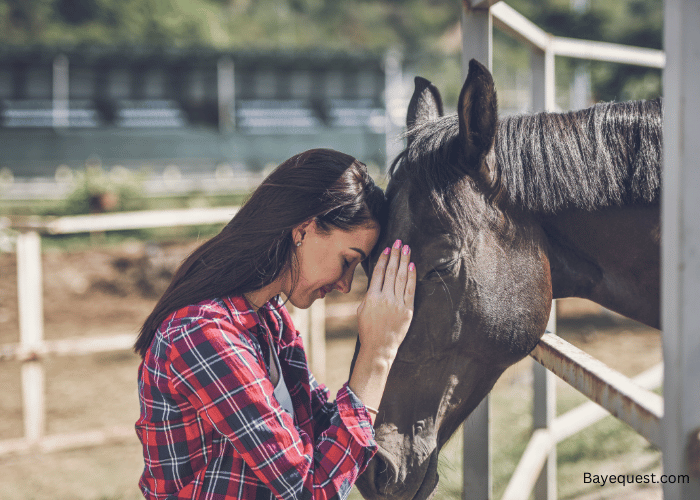 Unique Female Horse Names