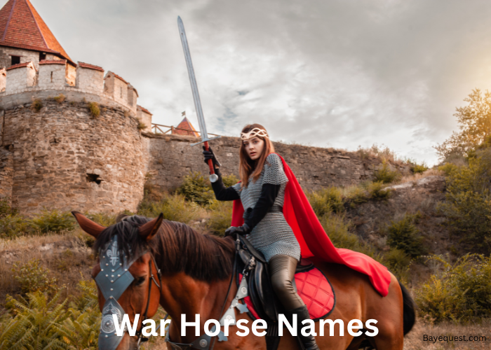 War Horse Names