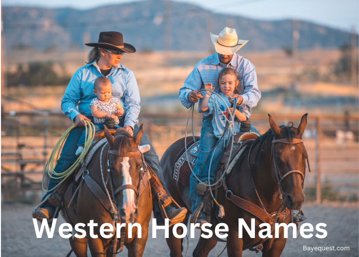 Western Horse Names