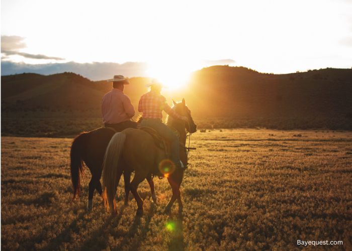 Western Horse Names