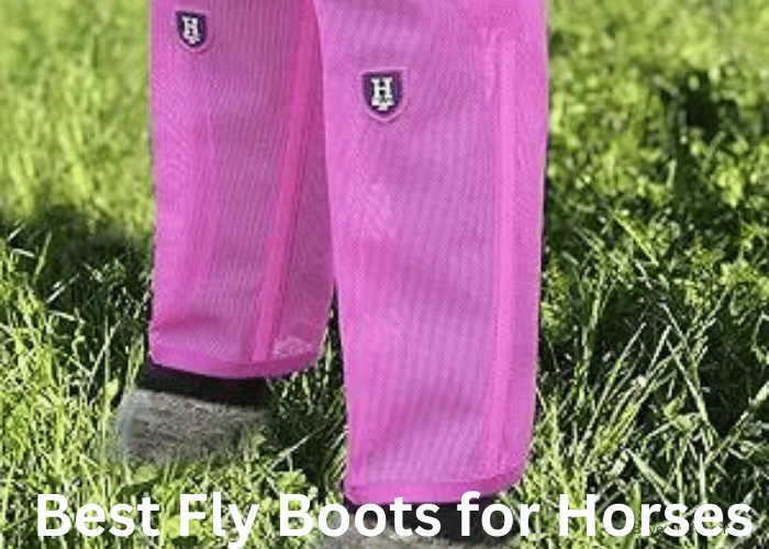 Best Fly Boots For Horses