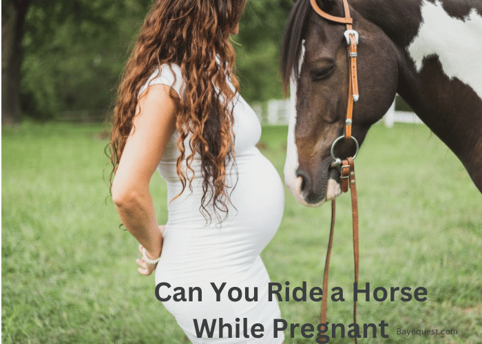 Can You Ride a Horse While Pregnant
