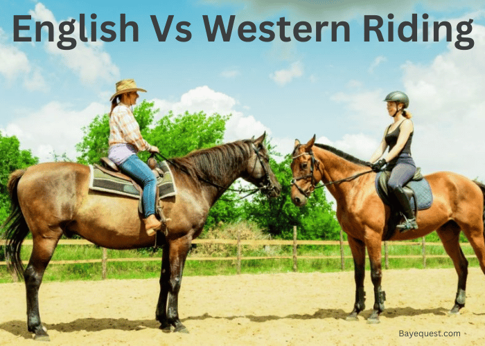 English Vs Western Riding