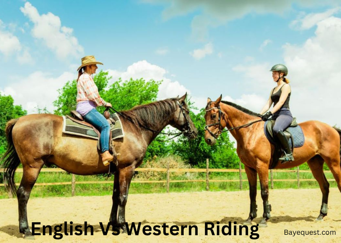 English Vs Western Riding