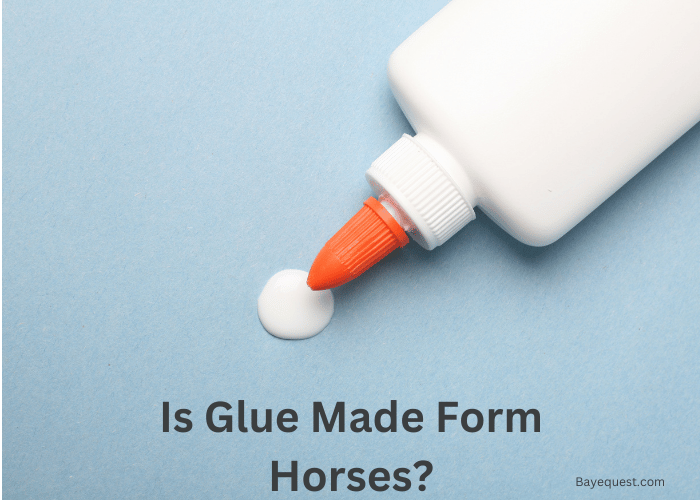 Is Glue Made From Horses