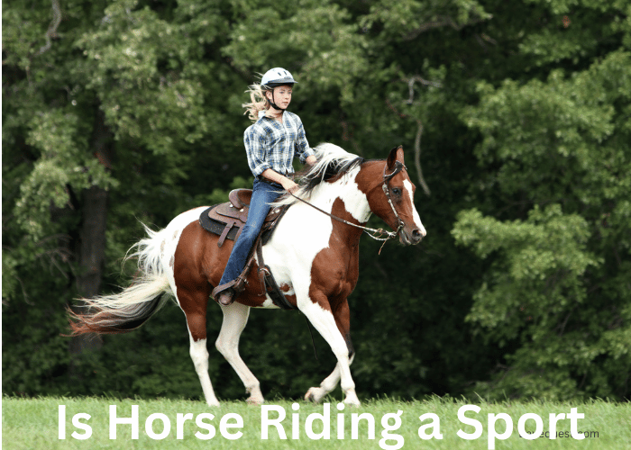 Is Horse Riding a Sport