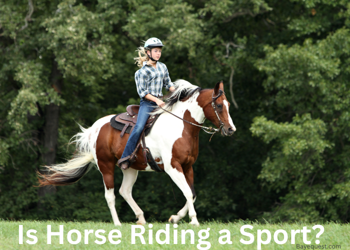 Is Horse Riding a Sport