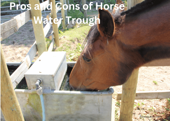 Pros and Cons of Horse Water Trough