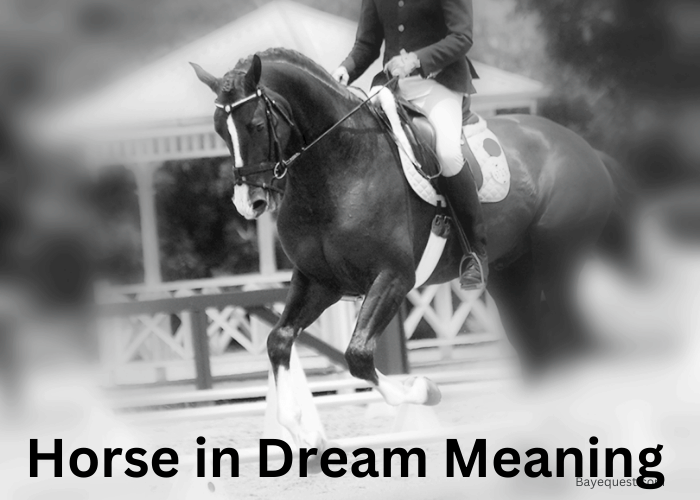 Horse in Dream Meaning