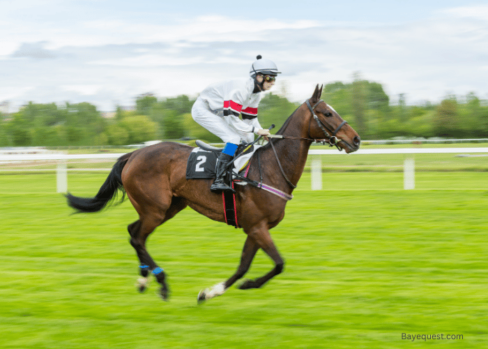 How Fast do Racing Horses Run?