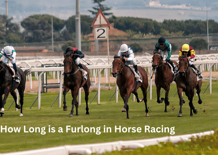 How Long is a Furlong in Horse Racing