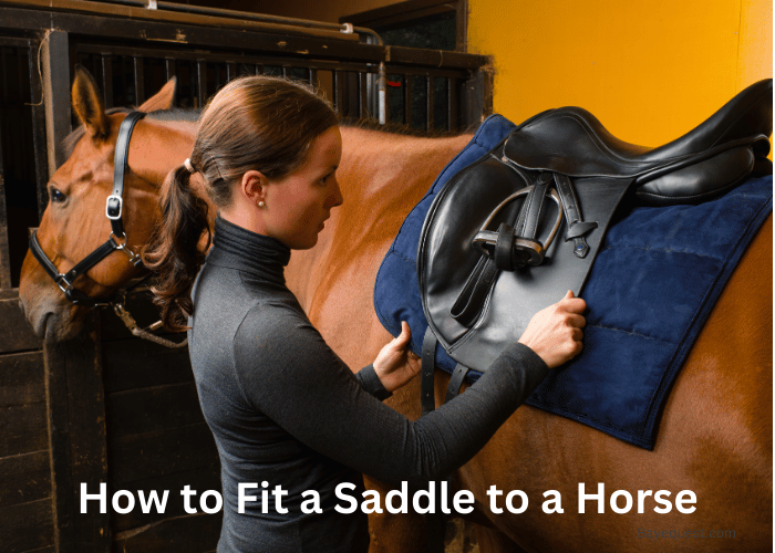 How to Fit a Saddle to a Horse