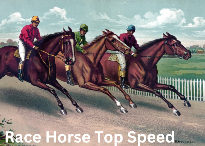 Race Horse Top Speed