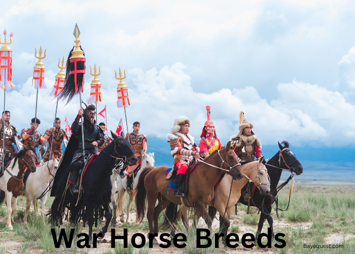 War Horse Breeds