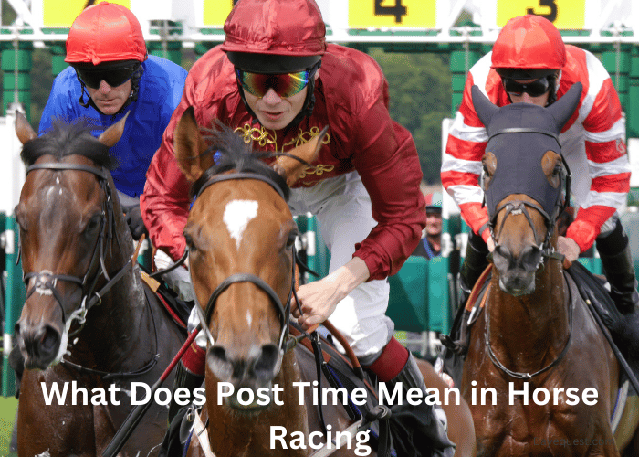 What Does Post Time Mean in Horse Racing