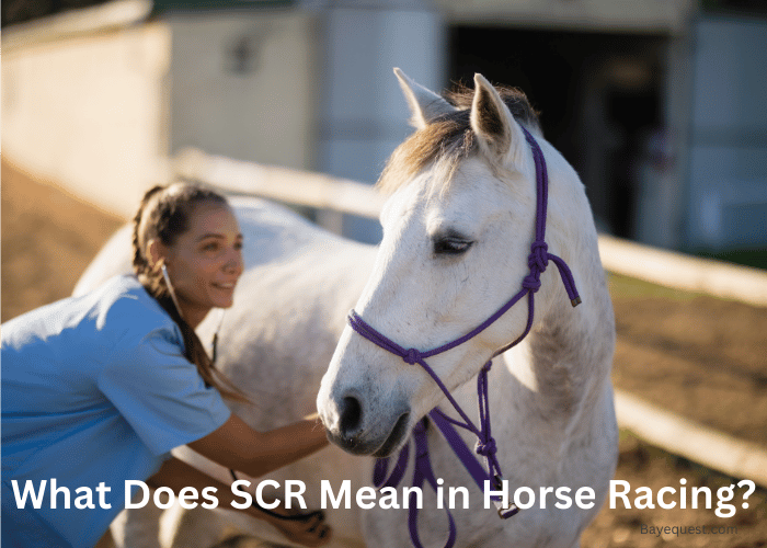 What Does SCR Mean in Horse Racing