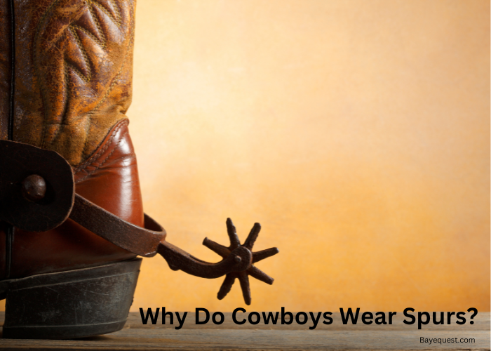 Why Do Cowboys Wear Spurs