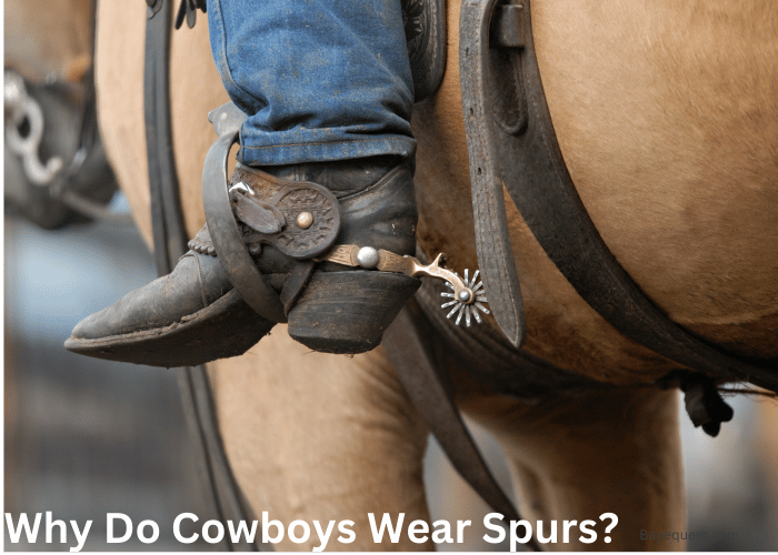 Why Do Cowboys Wear Spurs