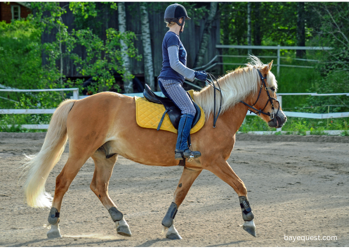 Health Benefits of Horseback Riding