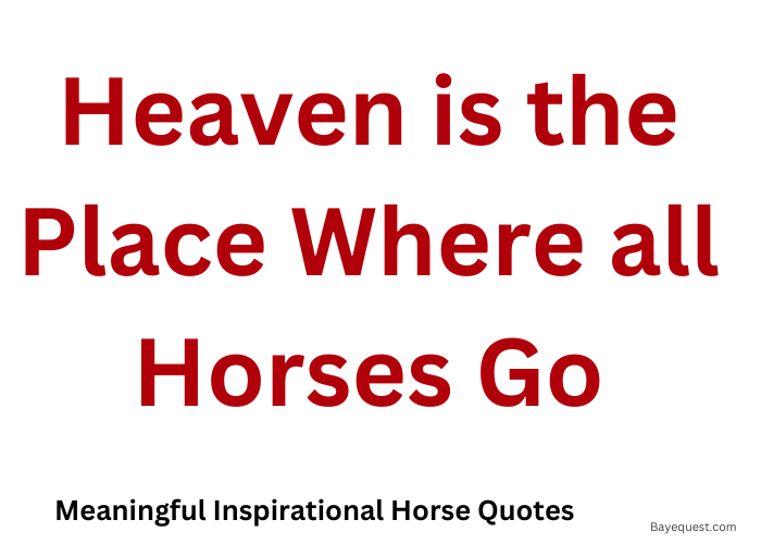 Meaningful Inspirational Horse Quotes