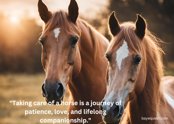 Meaningful Inspirational Horse Quotes