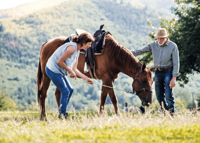 What Does it Mean to Lease a Horse