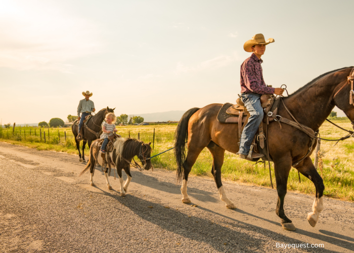 Do You Need a License to Ride a Horse on the Road?