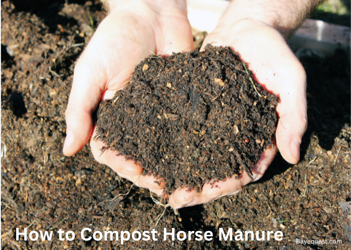 How to Compost Horse Manure