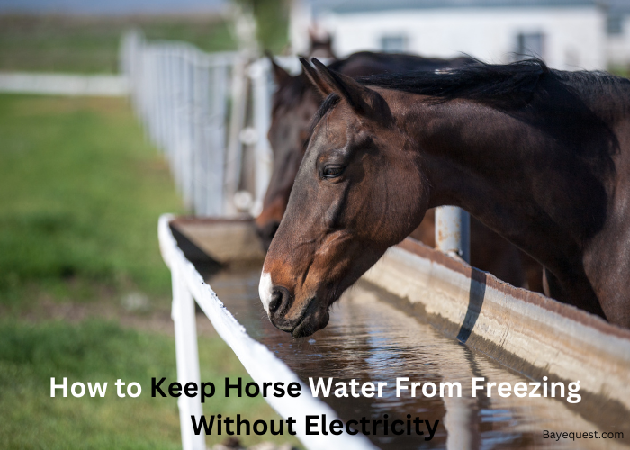 How to Keep Horse Water From Freezing Without Electricity