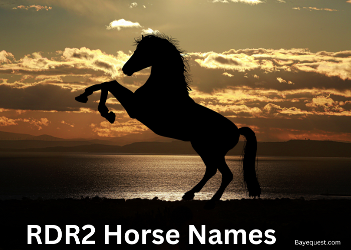 RDR2 Horse Names