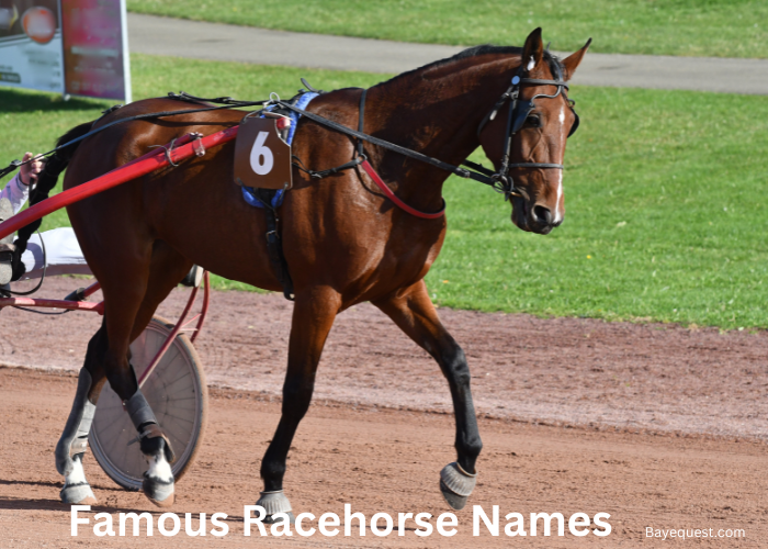 Famous Racehorse Names