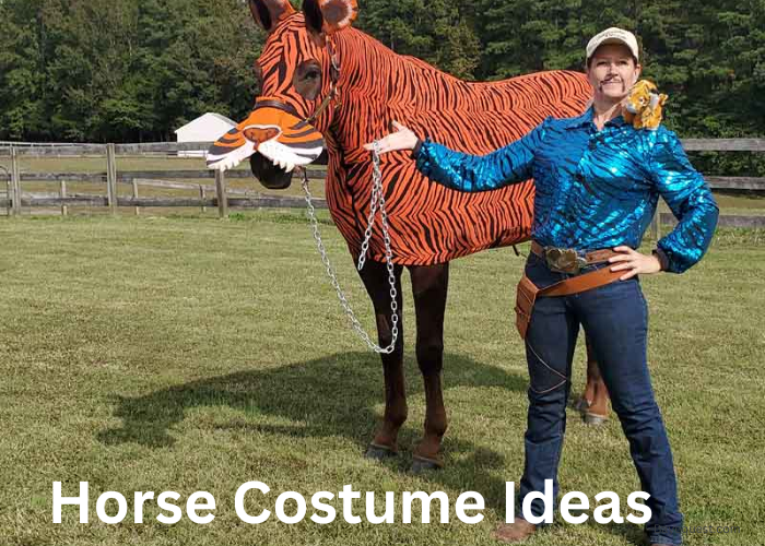 Horse Costume Ideas